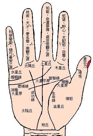 手掌有痣代表什麼 古學